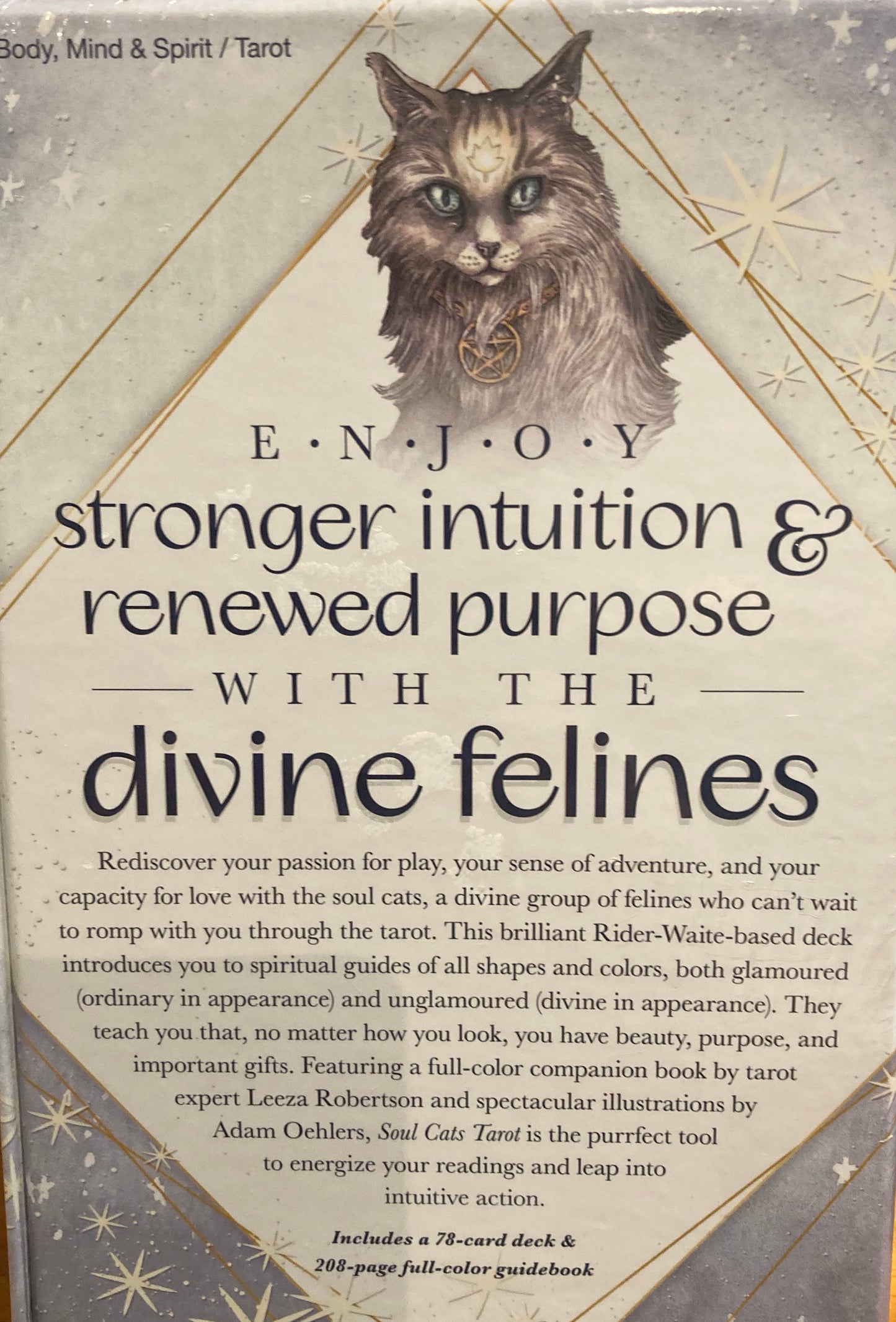 Soul Cats tarot cards