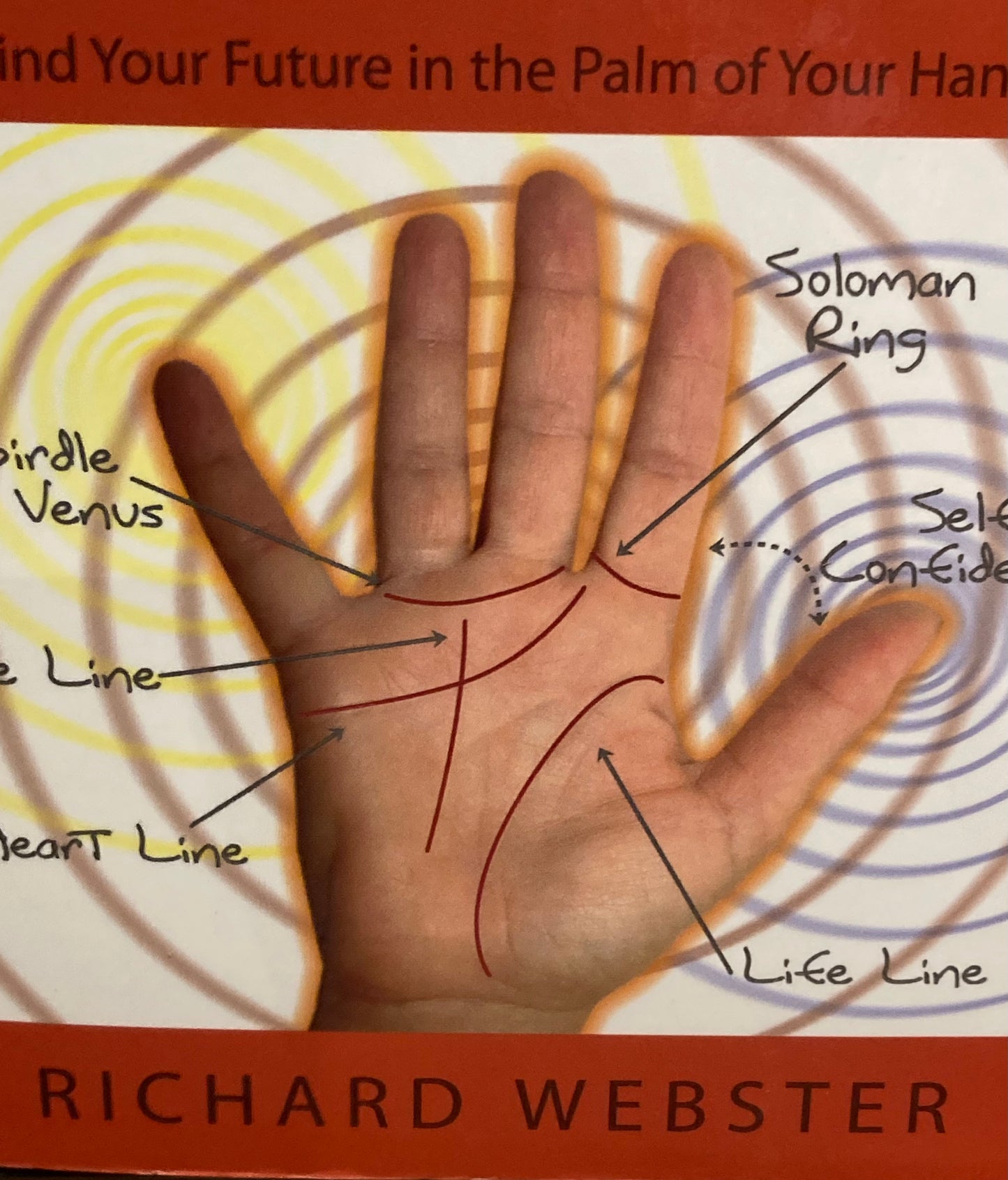 Palm Reading for Beginners