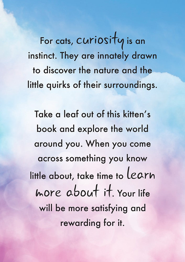 Cat Wisdom cards