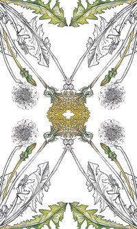 Hedgewitch Botanical Oracle