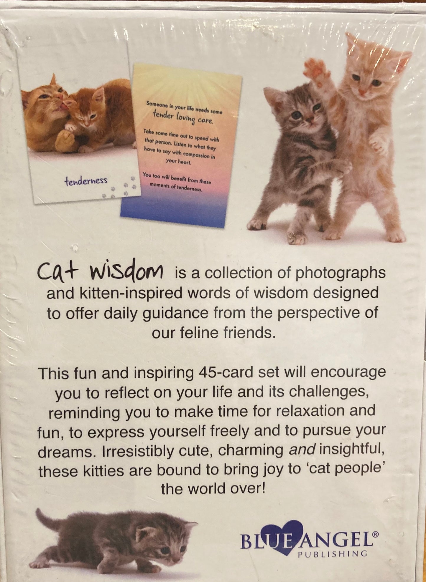 Cat Wisdom cards