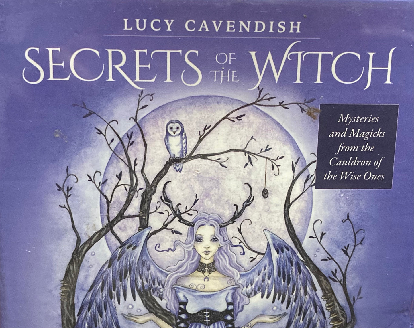 Secrets of the Witch Affirmation Deck