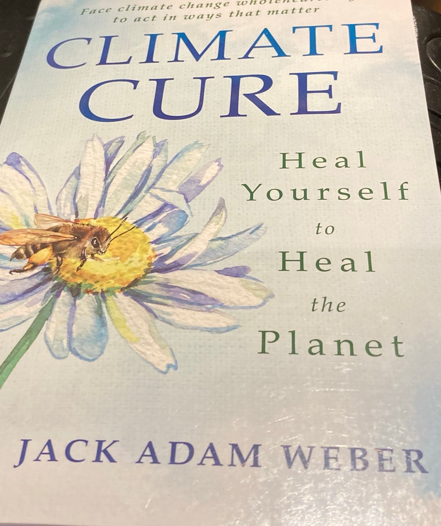 Climate Cure
