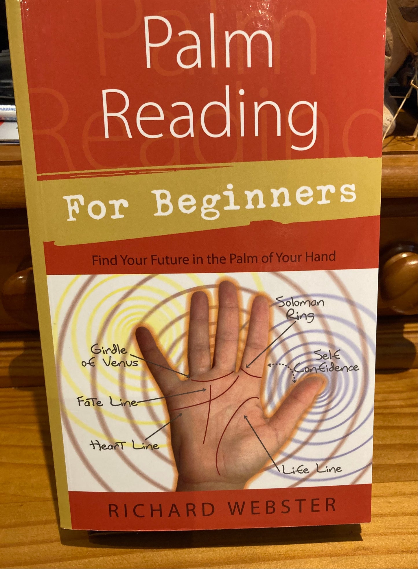 Palm Reading for Beginners