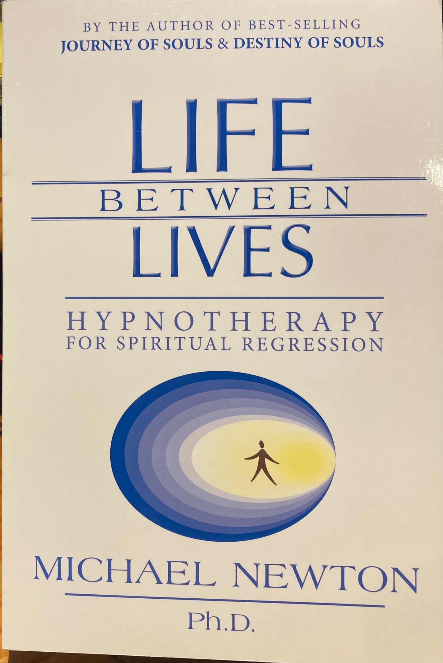 Life Between Lives
