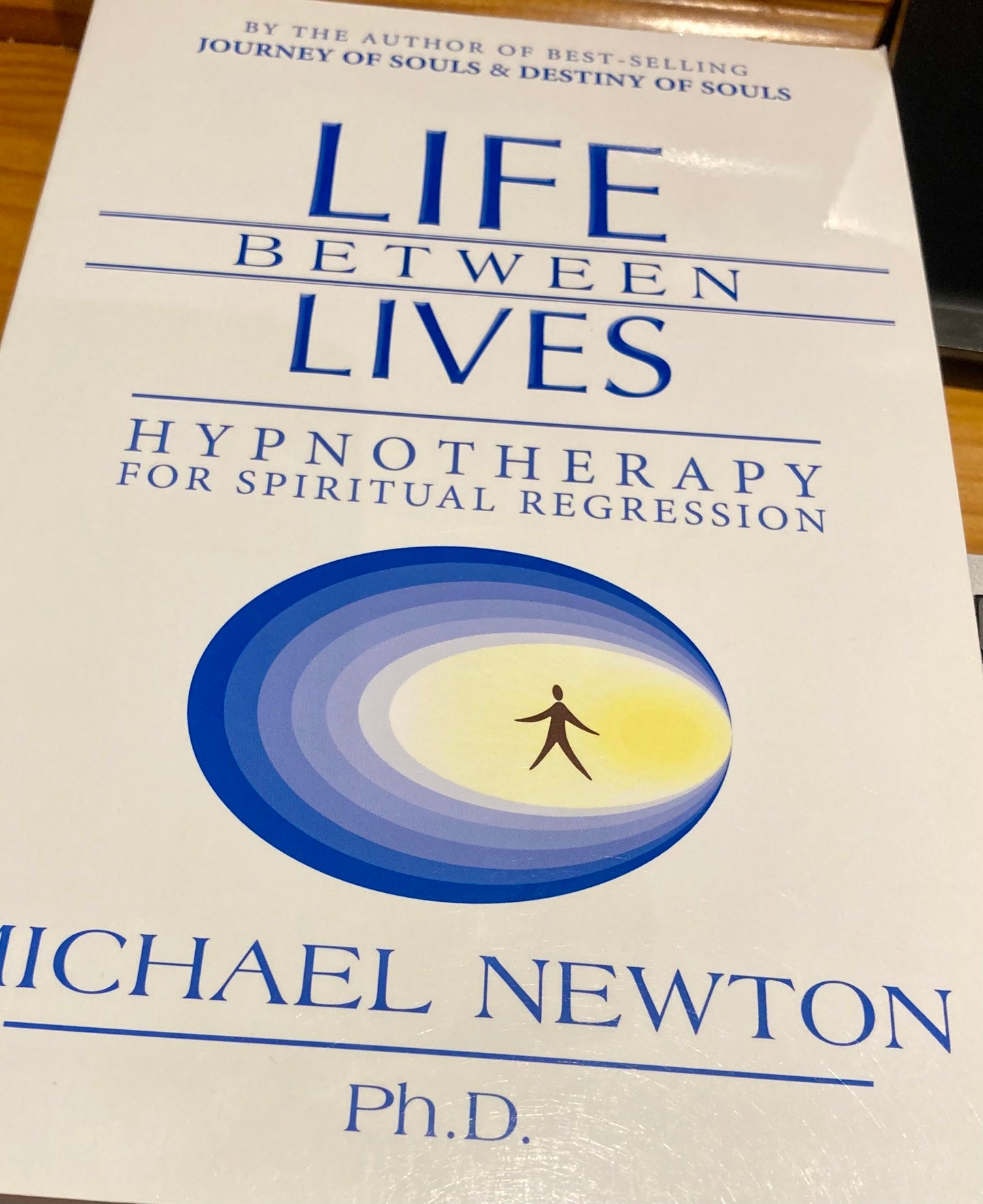 Life Between Lives