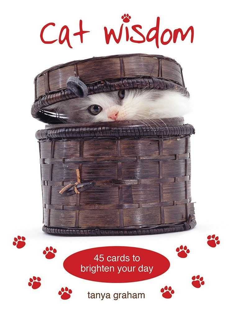 Cat Wisdom cards